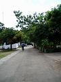 P1010045